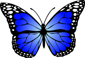 butterfly-blue-gradiant