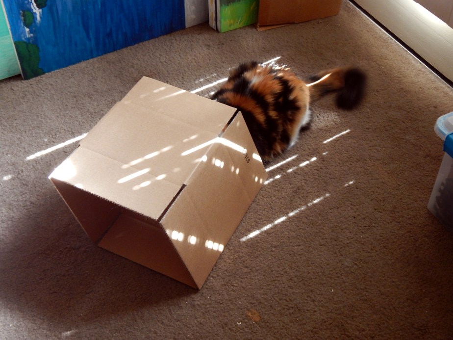 Is your cat missing?  They may be off to&nbsp;Nekotopia