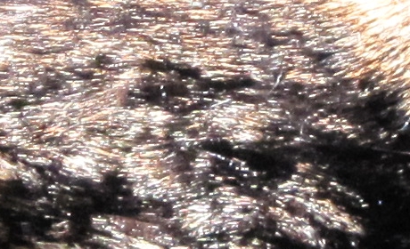 Observation: The Artist’s&nbsp;Eye