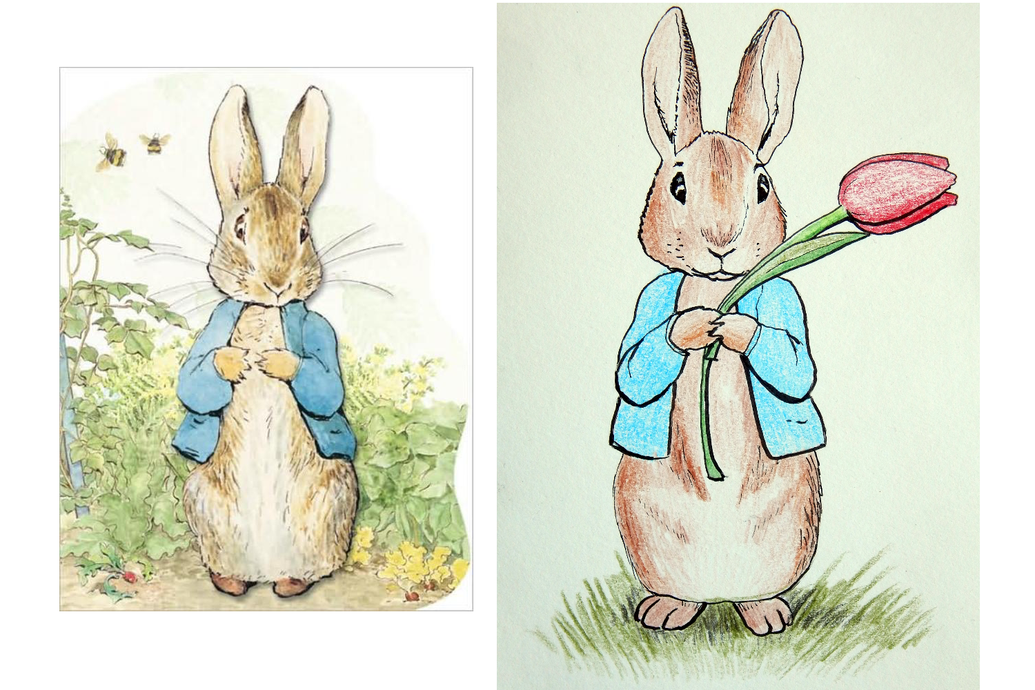 Peter Comparison.png