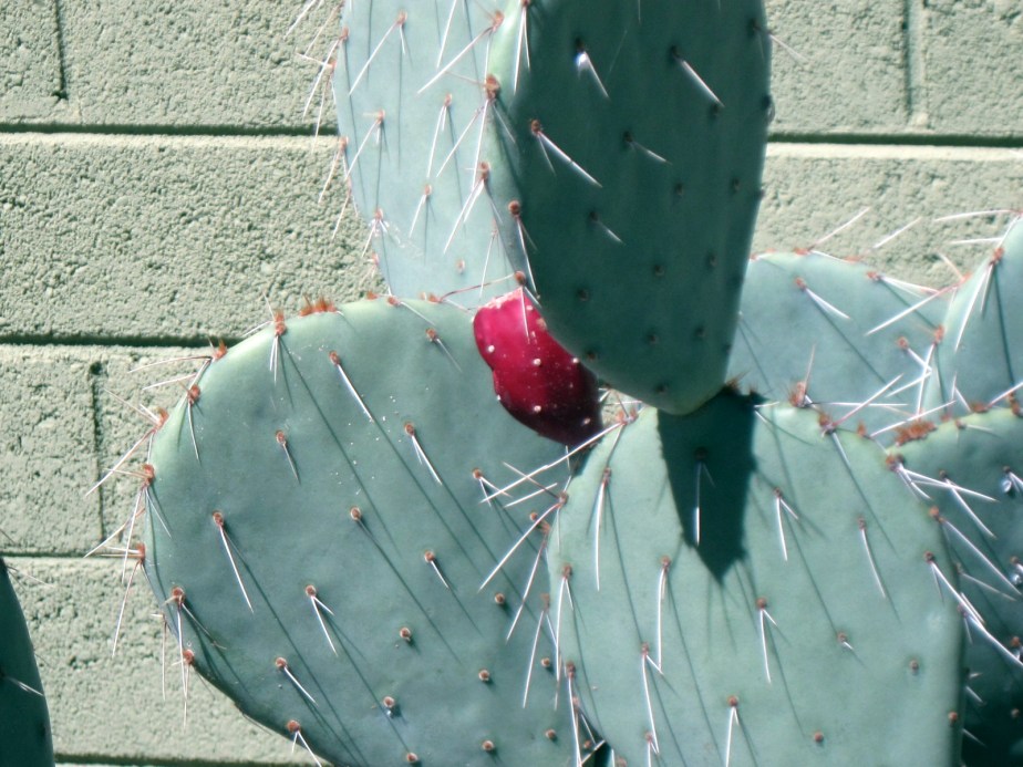 Mental Quests as well as&nbsp;Physical