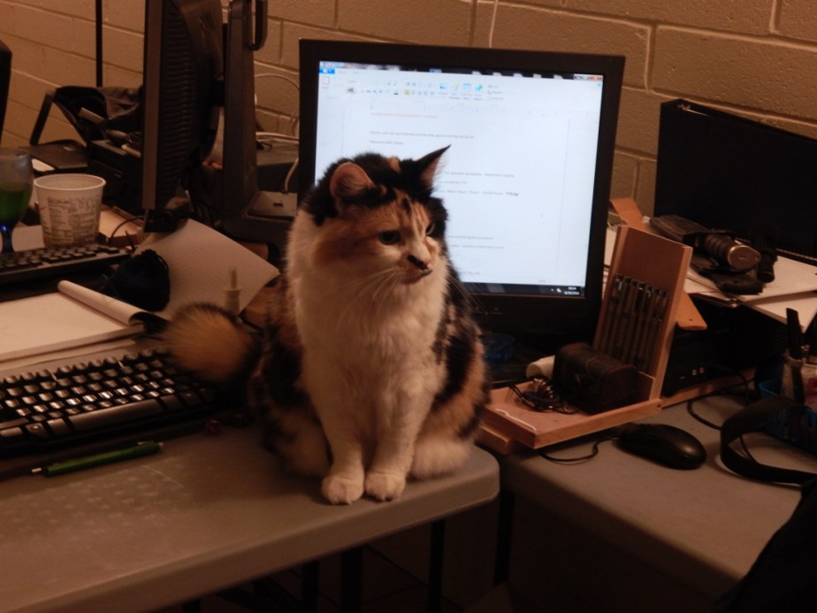 Guest Post: Tips for the&nbsp;Cat-Owned