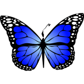 icon-blue-gradiant-pen