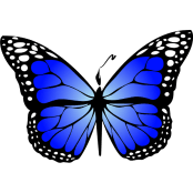 icon-blue-gradiant-pen