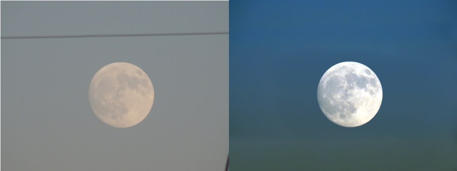 From Subdued to&nbsp;Superb