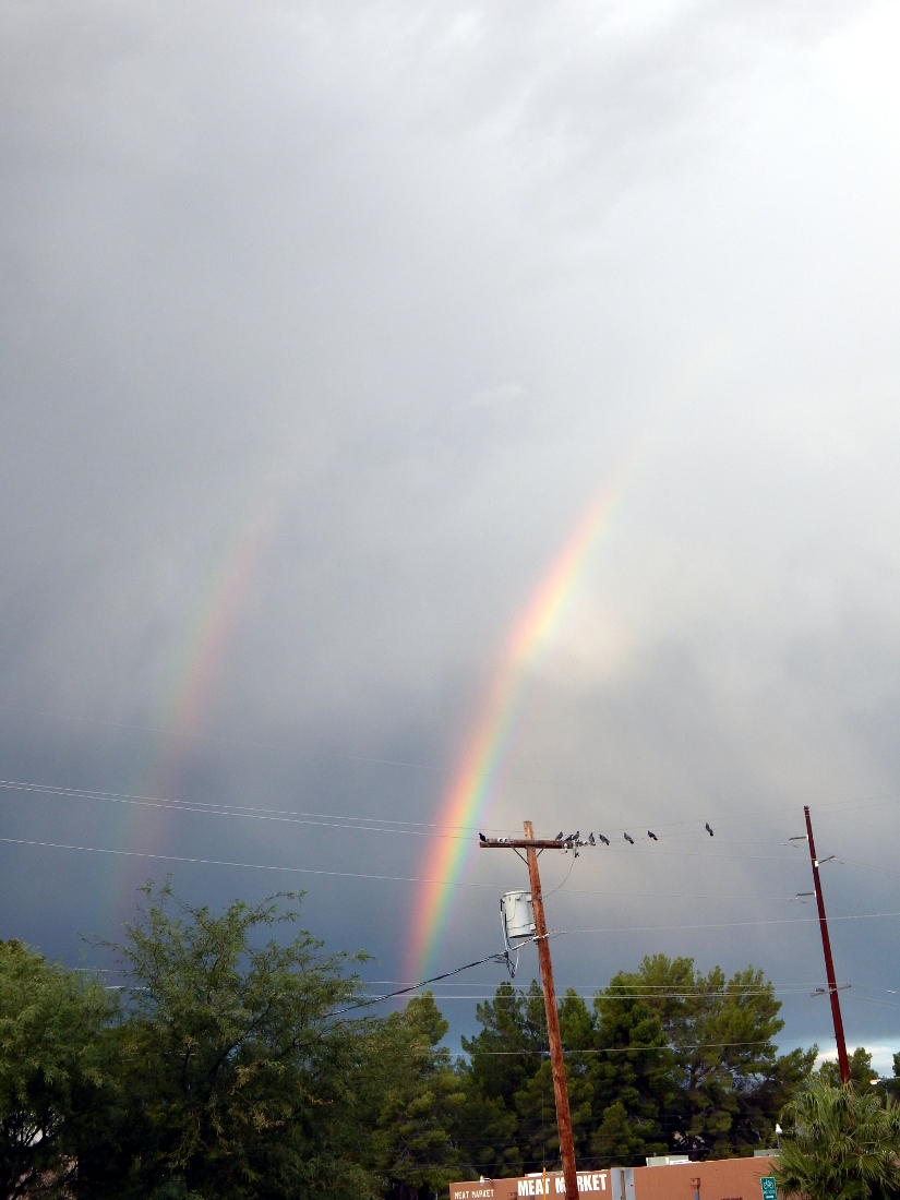 Drunks, Extremists, and the New&nbsp;Year