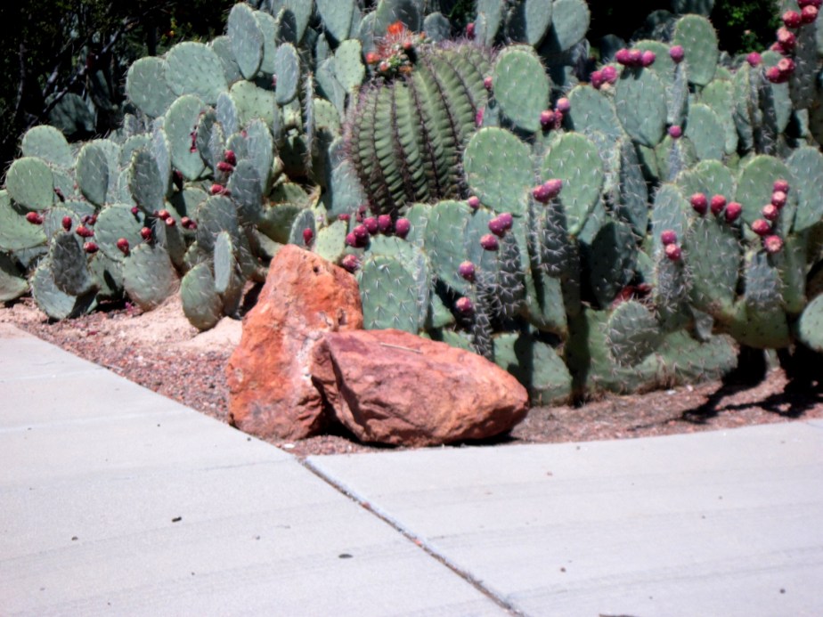 …then you might live in&nbsp;Tucson.