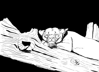 sleeping-lioness-postpro-1000