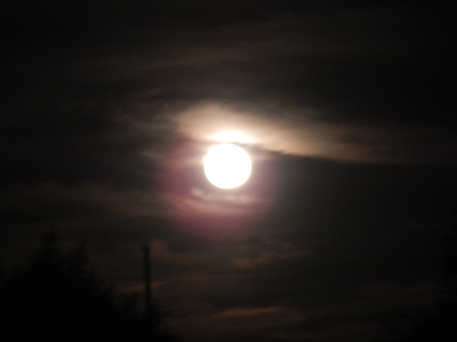blurred moon 1