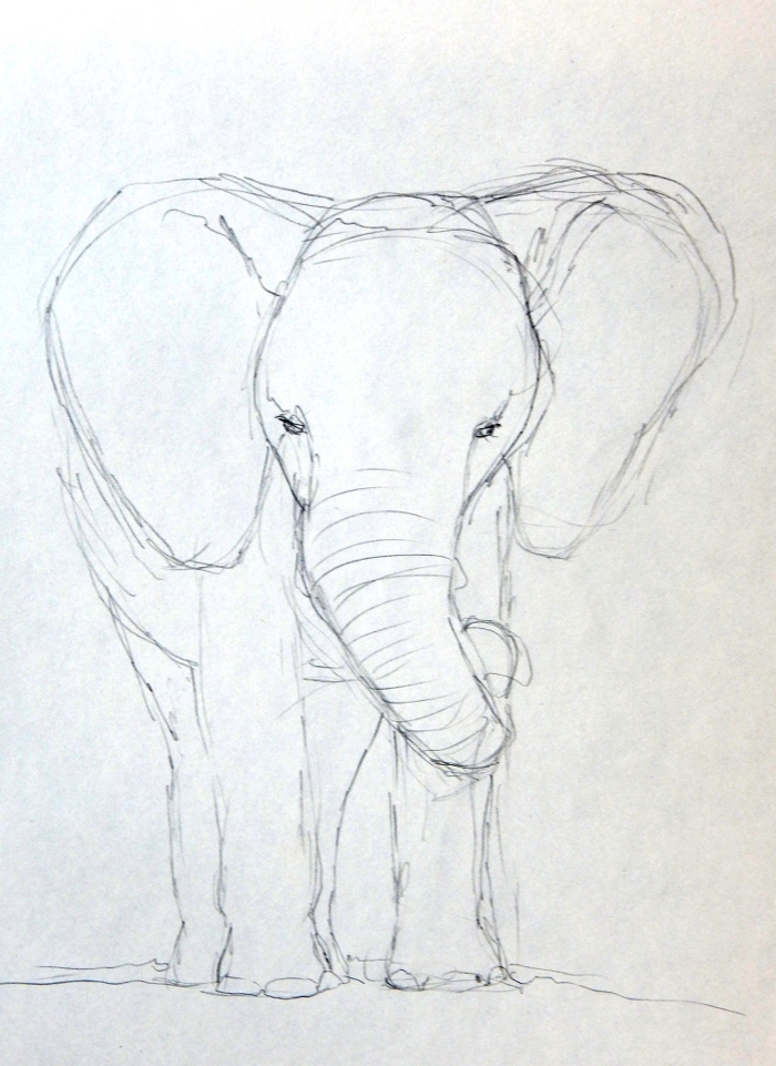 Elephant Sketch 700
