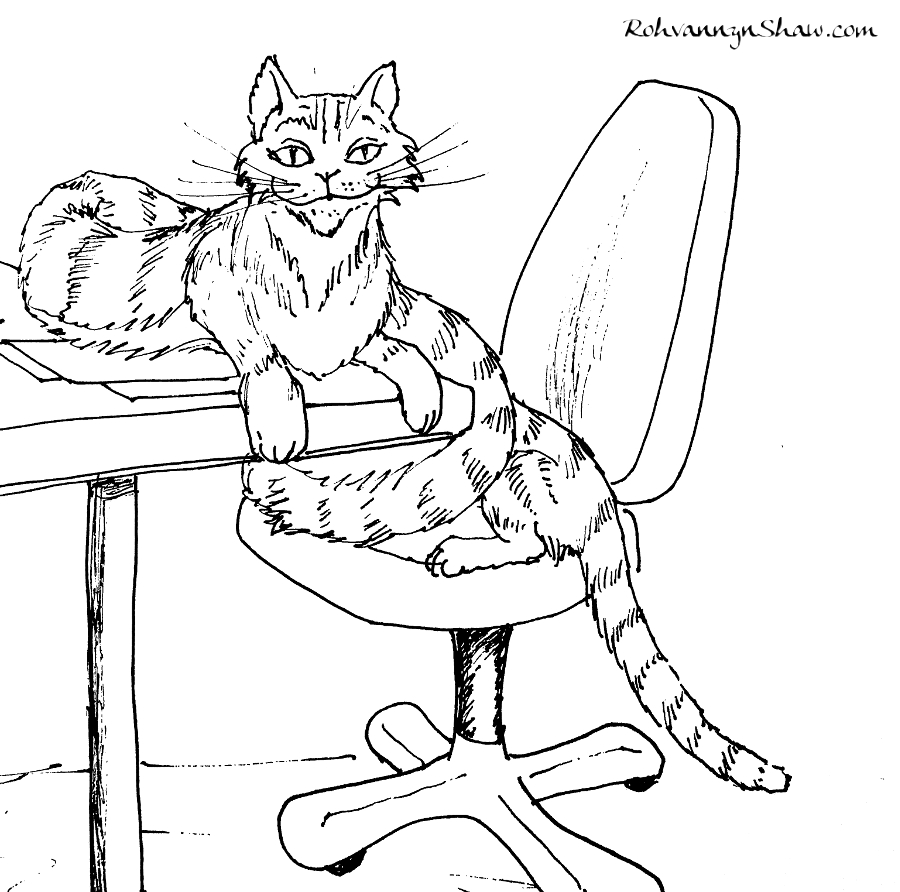 long cat on chair 900.JPG