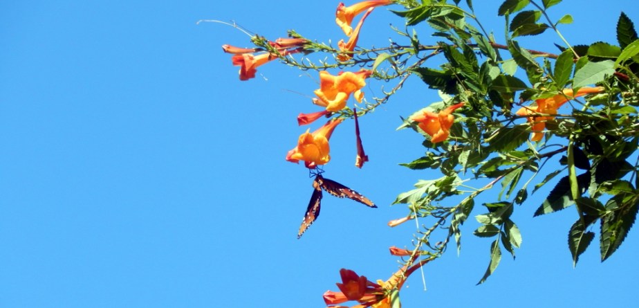 11 things I wished I’d known as a young&nbsp;artist