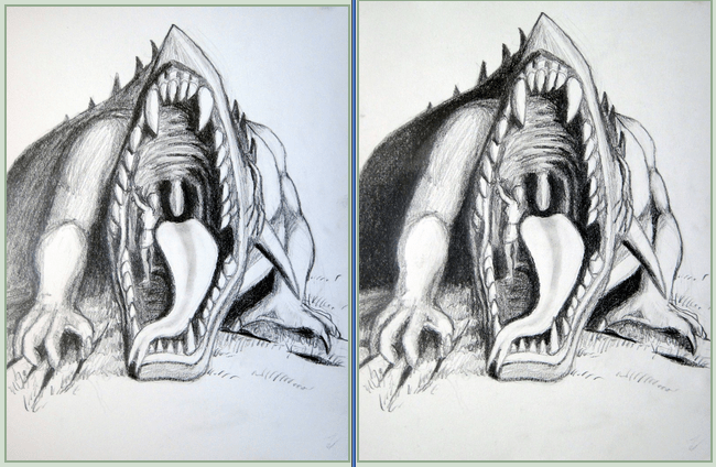 side by side dragon.png