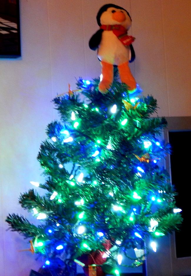 The suspense is&nbsp;over