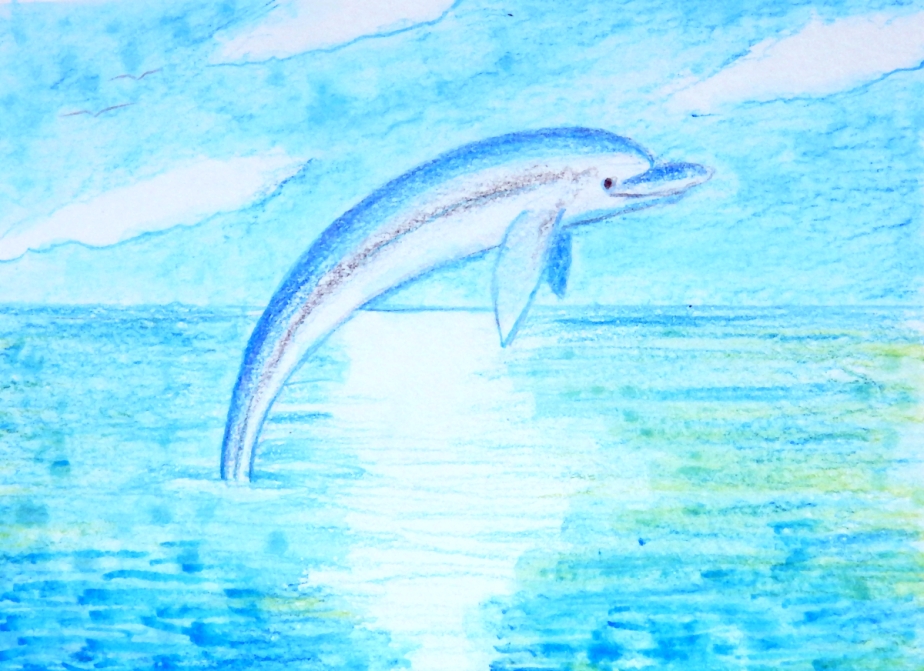 Card Dolphin
