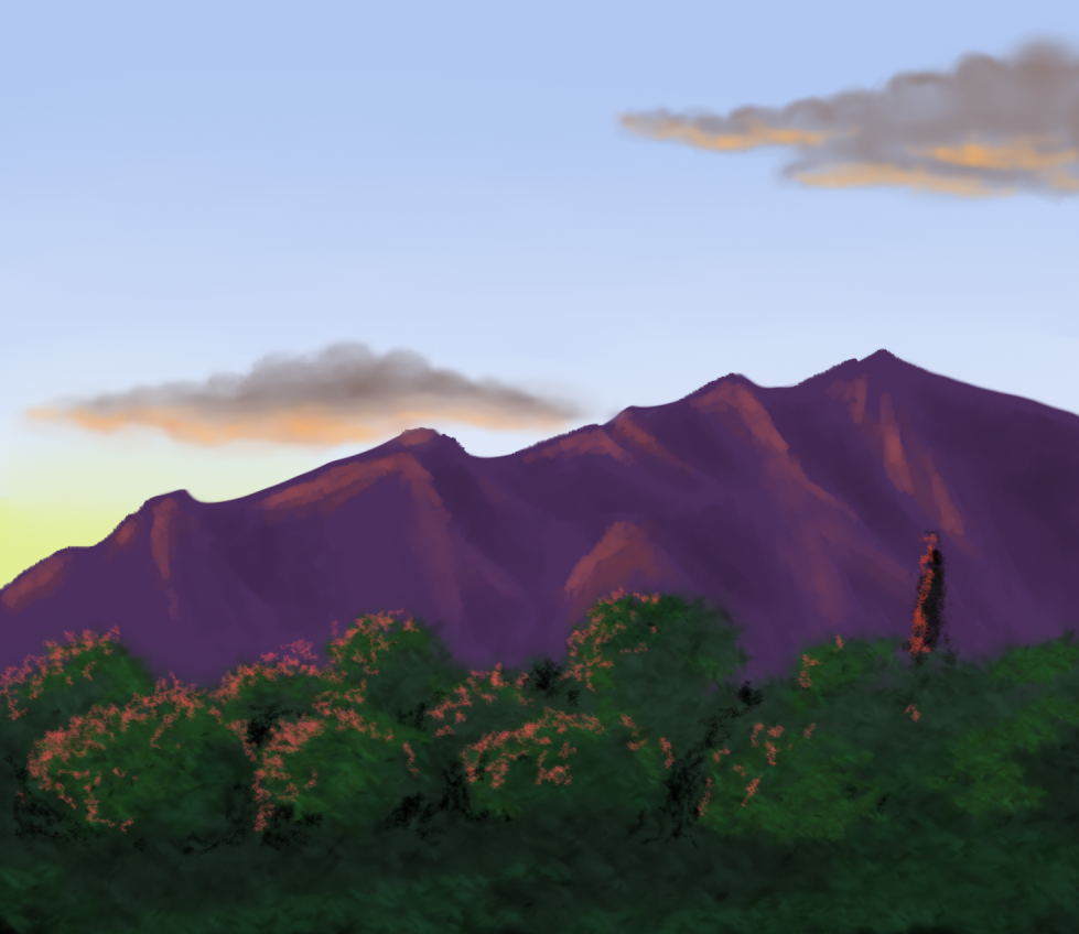 Sunset in the desert