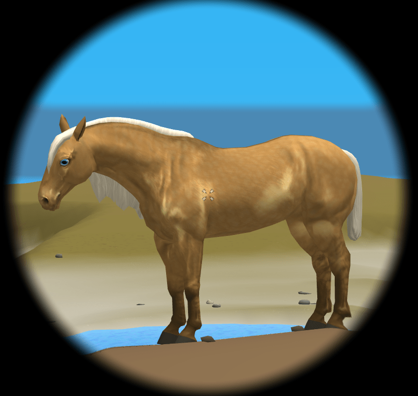 How to catch a horse in Horse Isle&nbsp;3