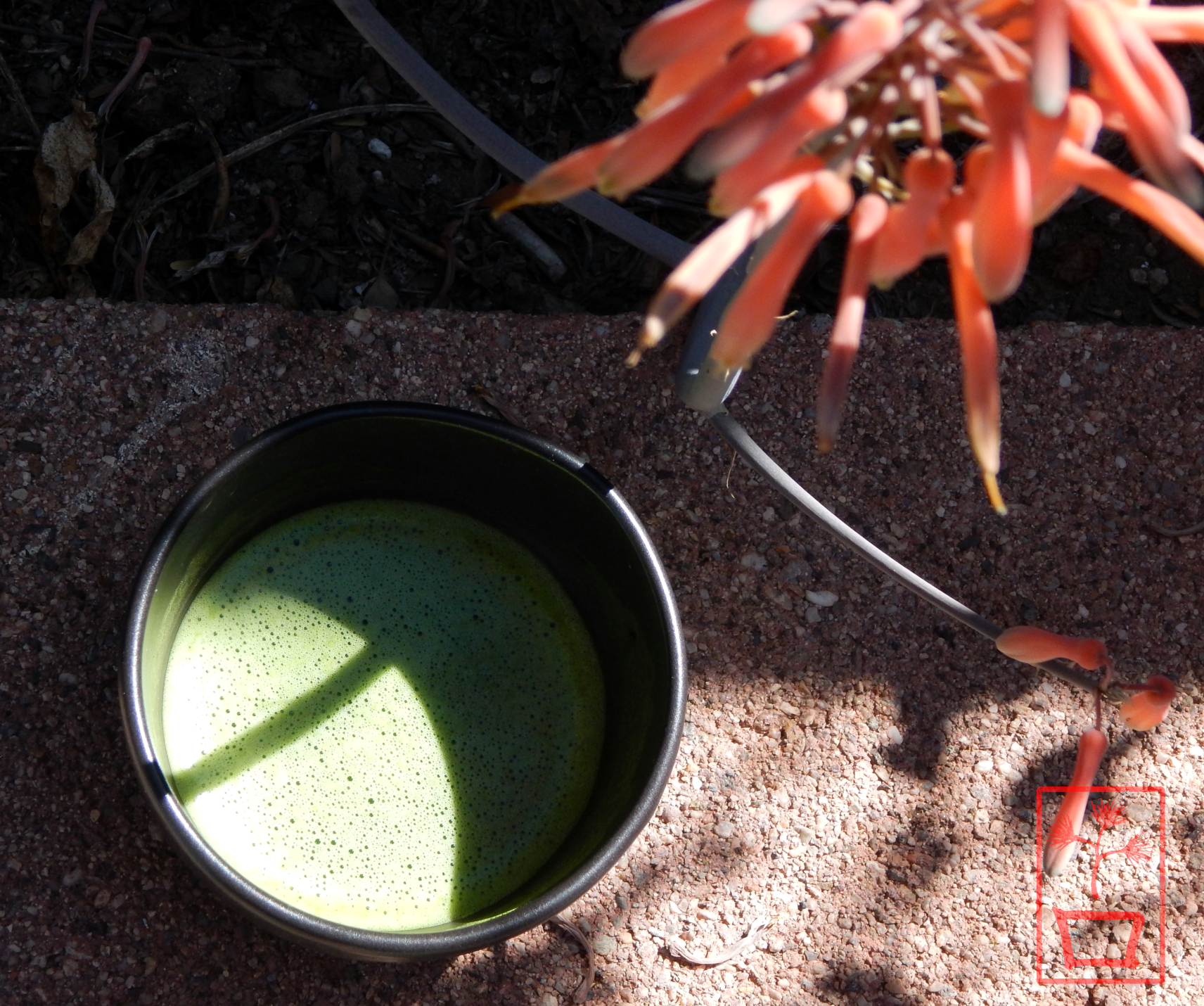 portrait of tranquility 7 1400