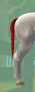 Tail Braided